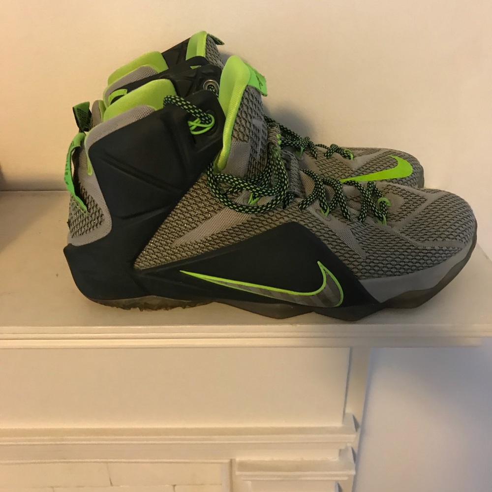 LBJ Nike Shoes